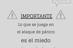 INSESTEDUPSI017