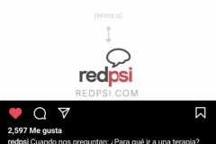 INSESTEDUPSI040