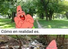 FACMEMMAMFIL022
