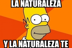FACMEMMAMFIL033
