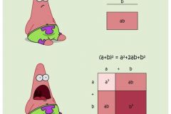 FACMEMEDUMAT008