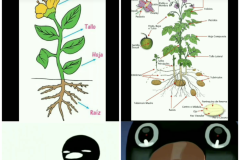 WHABIOEDU032